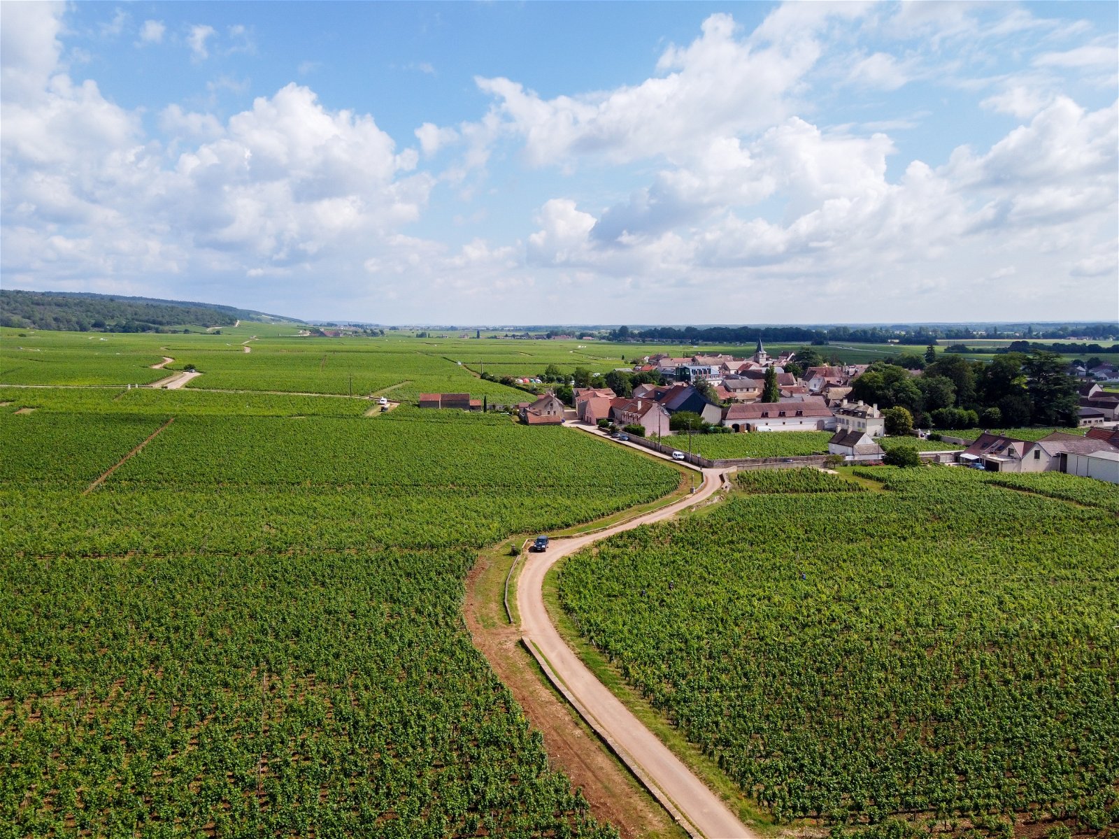 Bourgogne View
