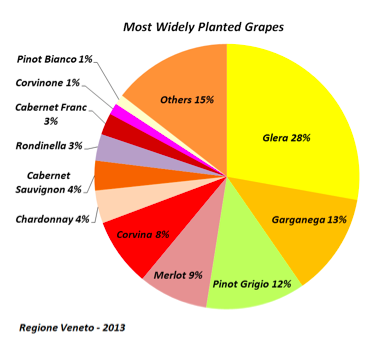 Most Widely planted grapes in Veneto