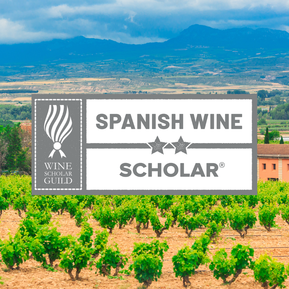 online Spanish wine course