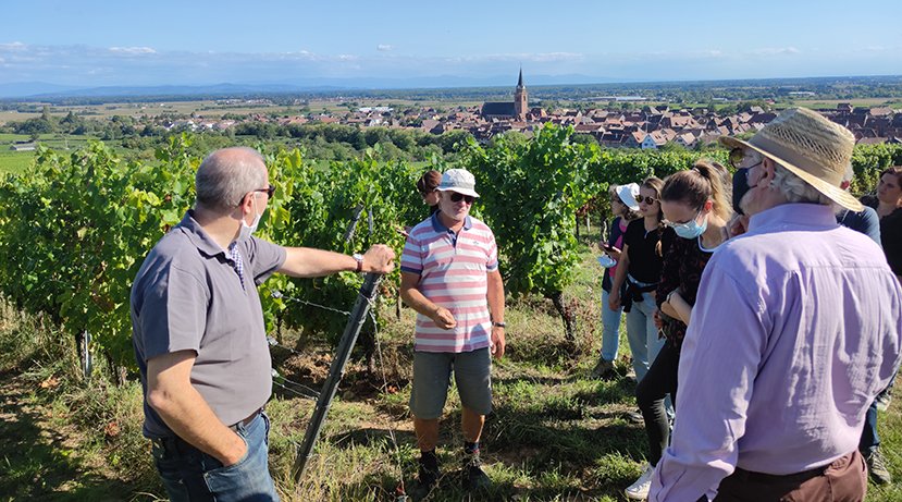 In the vineyards with Jean-Michel Deiss