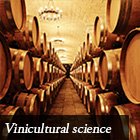Vinicultural science webinar