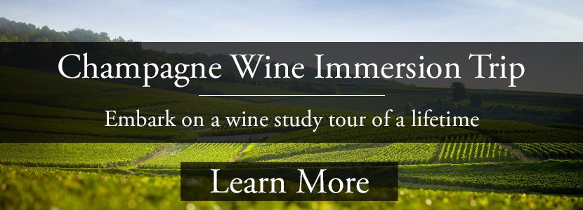 champagne-immersion-study-trip-champagne-wine-tour.html.jpg